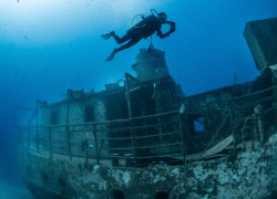 Grand Bahama Island Scuba Diving
