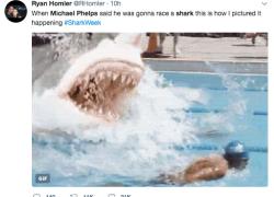 Michael Phelps vs Great White Shark