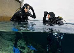 Scuba divers at the surface