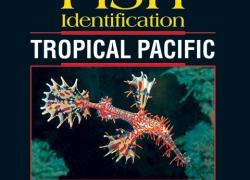 Reef Fish Identification – Tropical Pacific