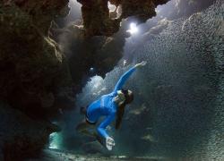 photo contest sport diver