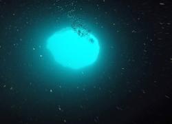 Amberjack Hole