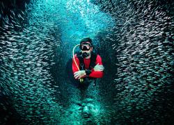 scuba diving narcosis