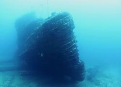 scuba diving hawaii