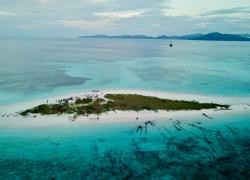 Oceanic Society Scuba Expedition 