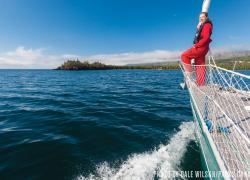 Lake Superior Marine Conservation