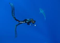 one ocean diving