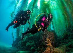 scuba diving