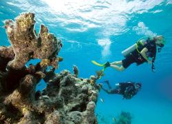 padi enriched air diver course