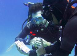 Green Fins divers