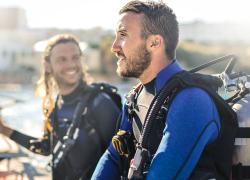 predive checklist