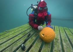 underwater pumpkin carving 