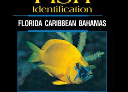 Cover for Reef Fish Identification Enhanced Ebook