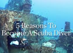 scuba diver certification