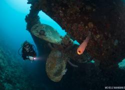Scuba Diving Bonaire Wreck