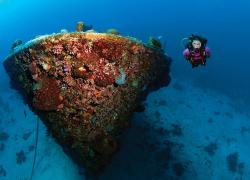 Scuba diving the Superior Producer shipwreck in Curacao