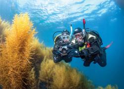 PADI Advanced Open Water Diver