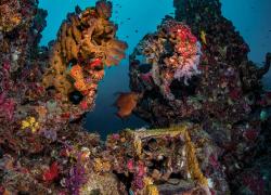 Exploring shipwreck