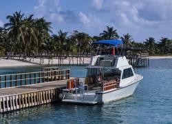 Sea Save Auction 2019