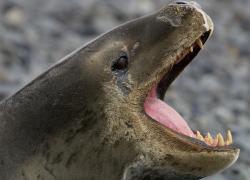 seal usb