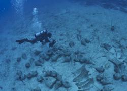 A diver surveys shipwrecked amphora.