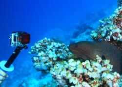 GoPro PADI