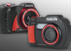 underwater cameras and housings 