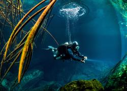 How to get perfect buoyancy