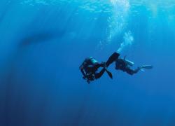 Scuba Diving what to do if you lose the dive boat