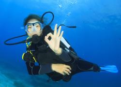 women diver hall of fame scholarship