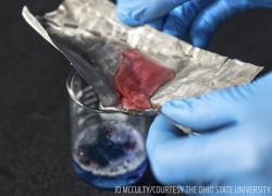 Reusable netting could aid in marine conservation and clean up