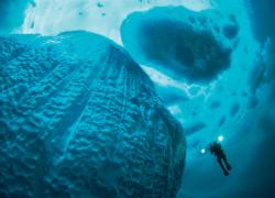 scuba diving Greenland icebergs