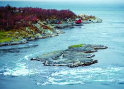 Saltstraumen Norway marine conservation