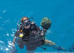 Scuba diving cleanup conservation