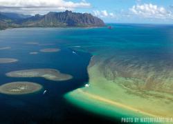 coral reef restoration project