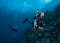 Expert buoyancy control