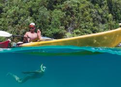 specialty diving cruises