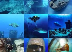 Sport Diver's top nine Instagram posts of 2016