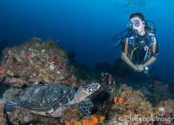 st lucia diving
