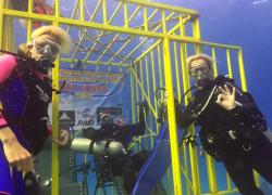 Stuart Cove record shark dive