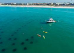 South Walton Artificial Reef Association