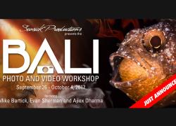 Bali photo and video workshop