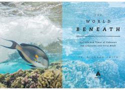world beneath marine biology book