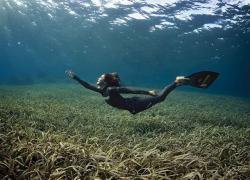 freediving estrella navarro