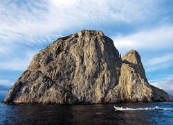 malpelo island scuba diving accident