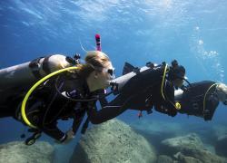 padi divemaster training