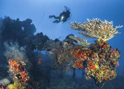 scuba diving wrecks