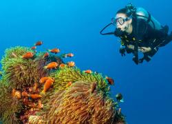 neutral buoyancy