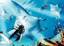 manta ray illustration 