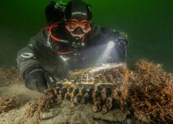 A diver hovers over the newly discovered Enigma machine in the Baltic Sea.